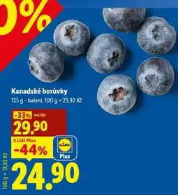 Lidl KANADSKÉ BORŮVKY nabídka