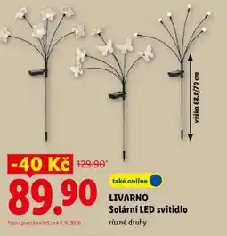 Lidl LIVARNO Solární LED svítidlo nabídka