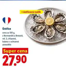 Lidl Ústřice, cena za nabídka