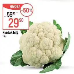 Globus Květák bílý nabídka