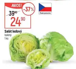 Globus Salát ledový nabídka