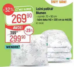 Globus Ložní polštář Blumen nabídka