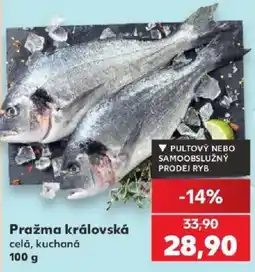 Kaufland Pražma královská nabídka