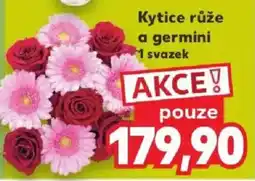 Kaufland Kytice růže a germini nabídka
