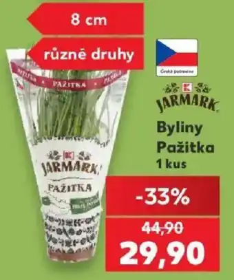 Jarmark byliny pažitka