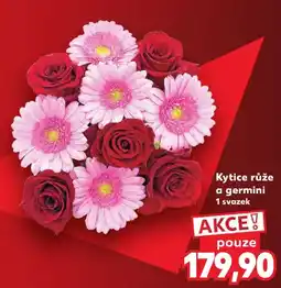 Kaufland Kytice růže a germini nabídka