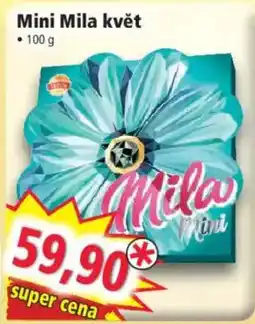 Norma Mila Mini květ nabídka