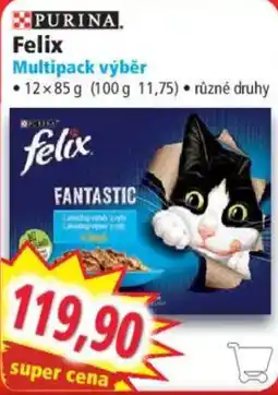 Norma Felix multipack výběr nabídka