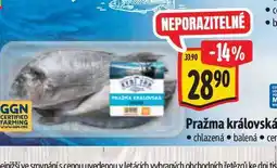 Albert Pražma královská nabídka