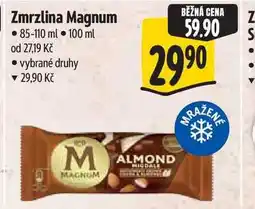 Albert Zmrzlina Magnum nabídka