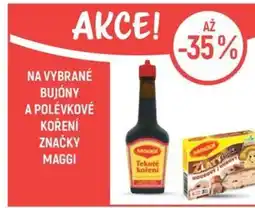 Globus Maggi tekuté koření nabídka