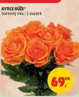 Penny Market KYTICE RŮŽE barevný mix, 1 svazek nabídka