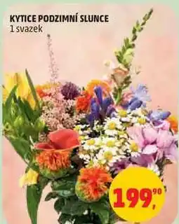 Penny Market KYTICE PODZIMNÍ SLUNCE, 1 svazek nabídka