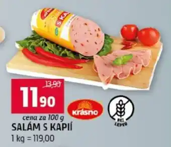 SALÁM S KAPÍ