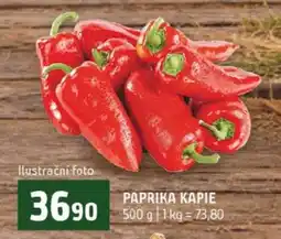 Terno Paprika kapie nabídka