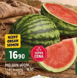 Terno MELOUN VODNÍ nabídka