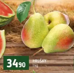 Terno HRUŠKY nabídka