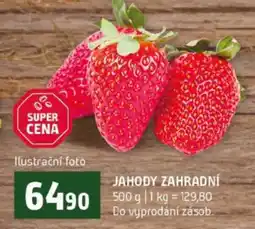 Terno Jahody zahradní nabídka