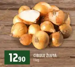 Terno Cibule žlutá nabídka