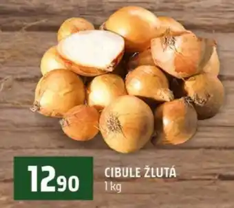Cibule žlutá