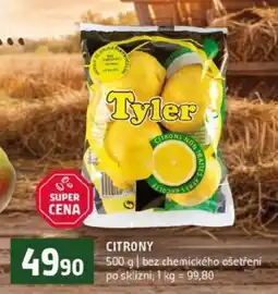 Terno Citrony nabídka