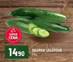 Terno OKURKA SALÁTOVÁ nabídka