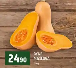 Terno Dýně máslová nabídka