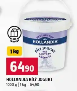 Terno HOLLANDIA BÍLÝ JOGURT nabídka