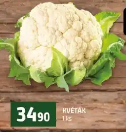 Terno Květák nabídka