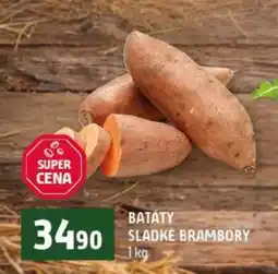 Terno BATÁTY – SLADKÉ BRAMBORY nabídka