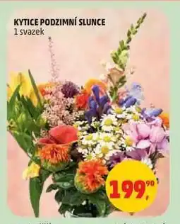 Penny Market Kytice Podzimní Slunce nabídka