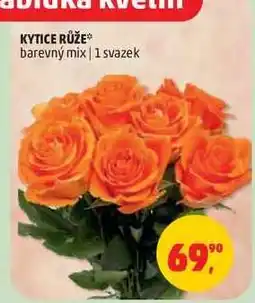 Penny Market Kytice Růže nabídka