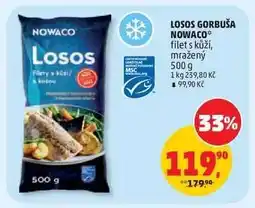 Penny Market LOSOS GORBUŠA NOWACO nabídka