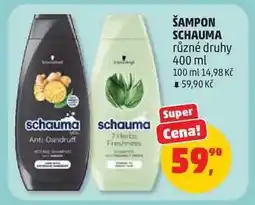 Penny Market ŠAMPON SCHAUMA nabídka