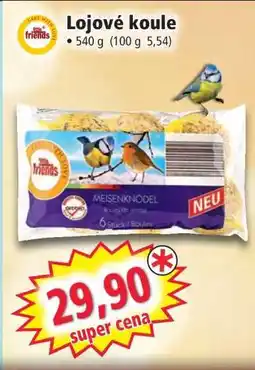 Norma LOJOVÉ KOULE nabídka