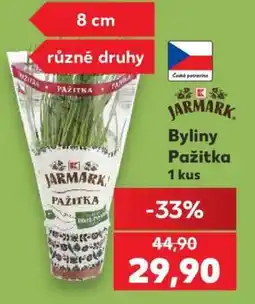 Kaufland Byliny- Pažitka nabídka