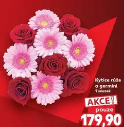 Kaufland Kytice - Růže a germini nabídka