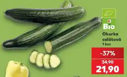 Kaufland OKURKA SALÁTOVÁ nabídka