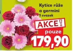 Kaufland Kytice - Růže a germini nabídka