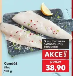 Kaufland Candát filet 100 g nabídka