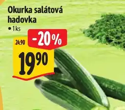 Albert Okurka salátová hadovka nabídka