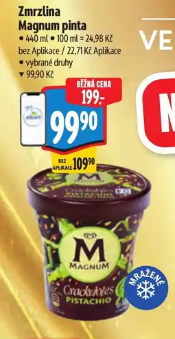 Albert Magnum zmrzlina pinta nabídka