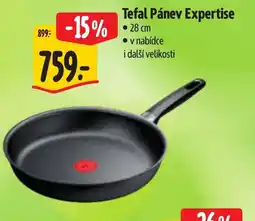 Albert Tefal Pánev Expertise nabídka