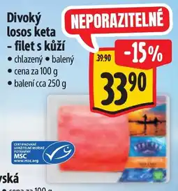 Albert Divoký losos keta nabídka