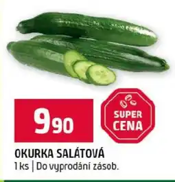Terno Okurka salátová nabídka