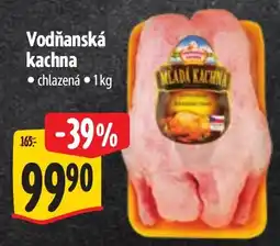 Albert Vodňanská kachna nabídka
