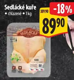 Albert Sedlácké kuře nabídka