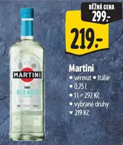 Albert Martini vermut nabídka
