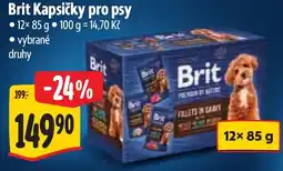 Albert Brit kapsičky pro psy nabídka