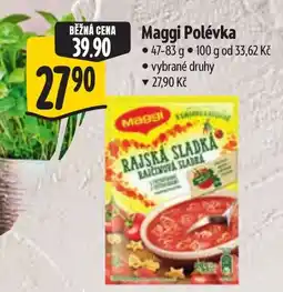 Albert Maggi Polévka nabídka
